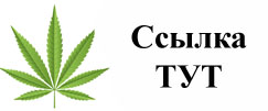 Купить наркотики в Новозыбкове